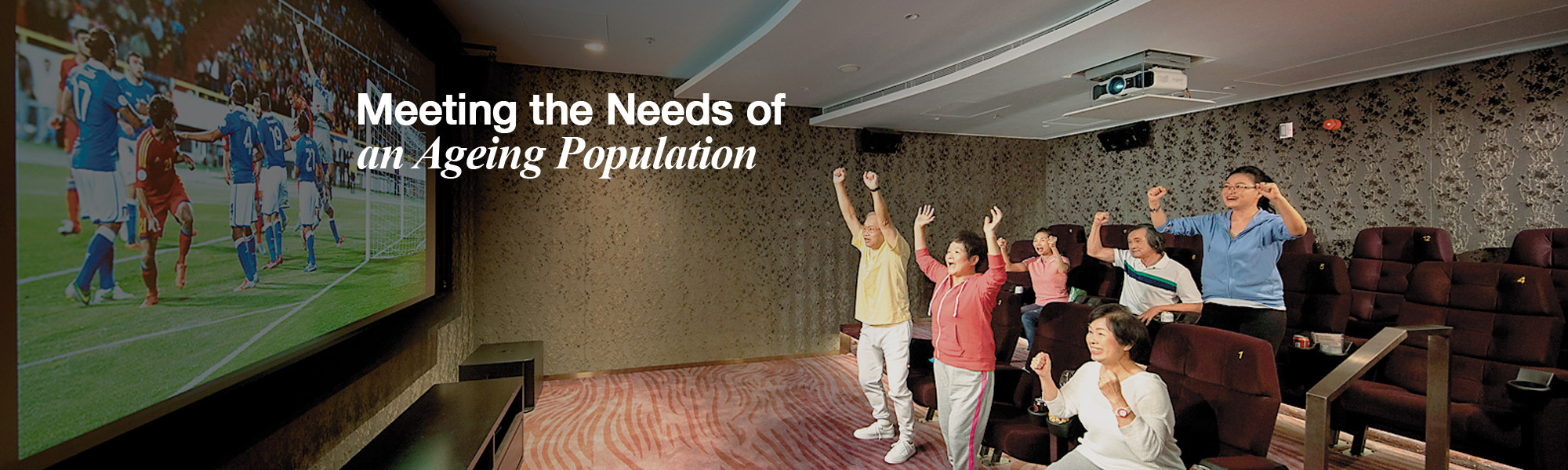 Meeting the Needs of an Ageing Population