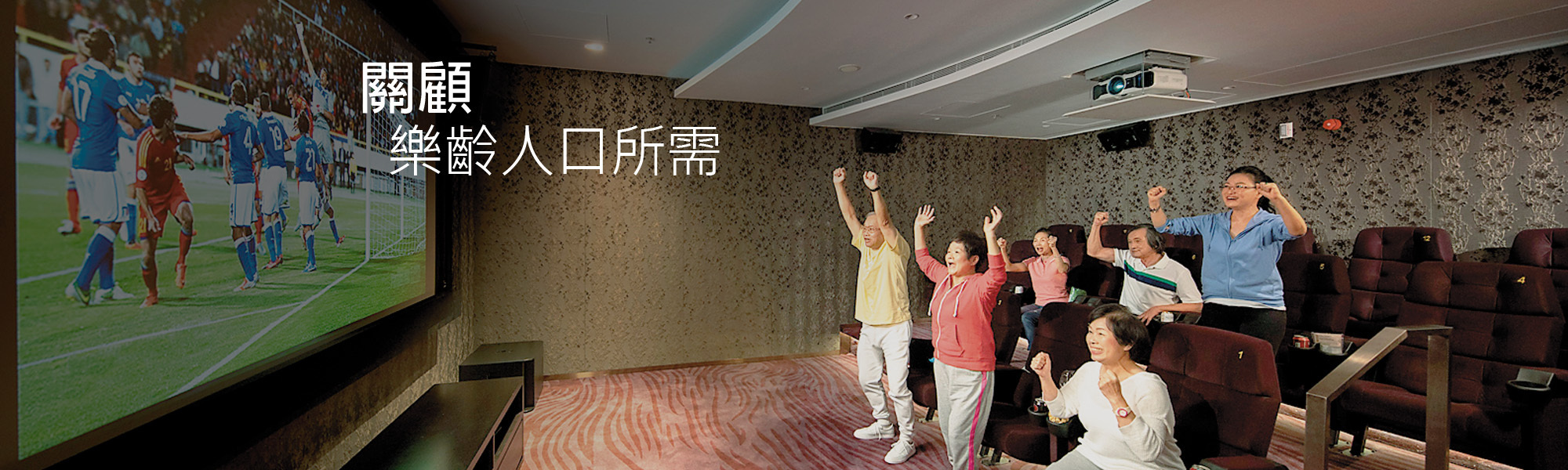 關顧樂齡人口所需